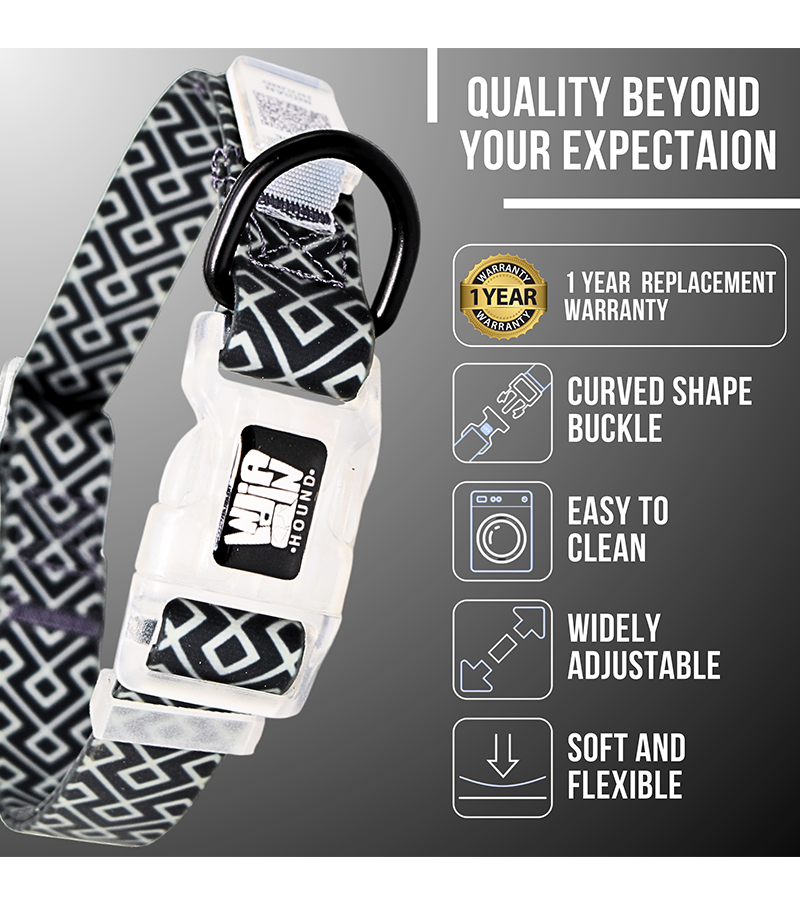 Indian Hound Premium Nylon Dog Collar with Personalized QR Tag