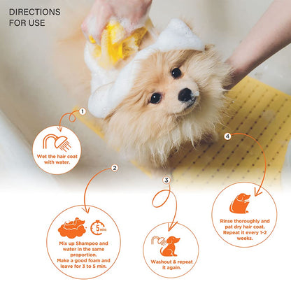 Lozalo Floral Aromatherapy Pet Conditioning Shampoo, Tulip Fragrance | Odour Control Shampoo for Dogs & Cats | with Aloe Vera Extract and Saffron Essential Oil