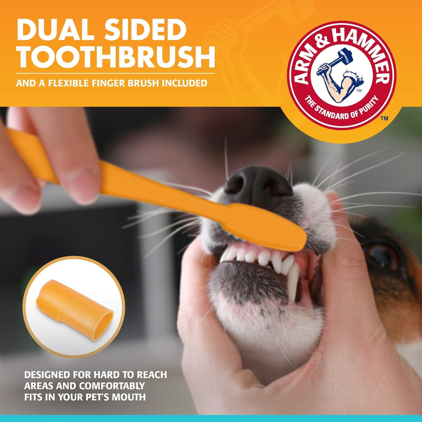 Arm & Hammer: Tartar Control Dental Kit For Dogs - Banana Mint Flavor