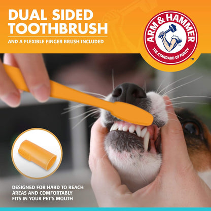 Arm & Hammer: Tartar Control Dental Kit For Dogs - Banana Mint Flavor