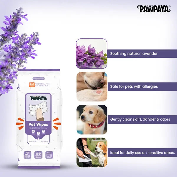 Pawpaya Pet Wipes Made for All Cats and Dogs (Pack Of 40)