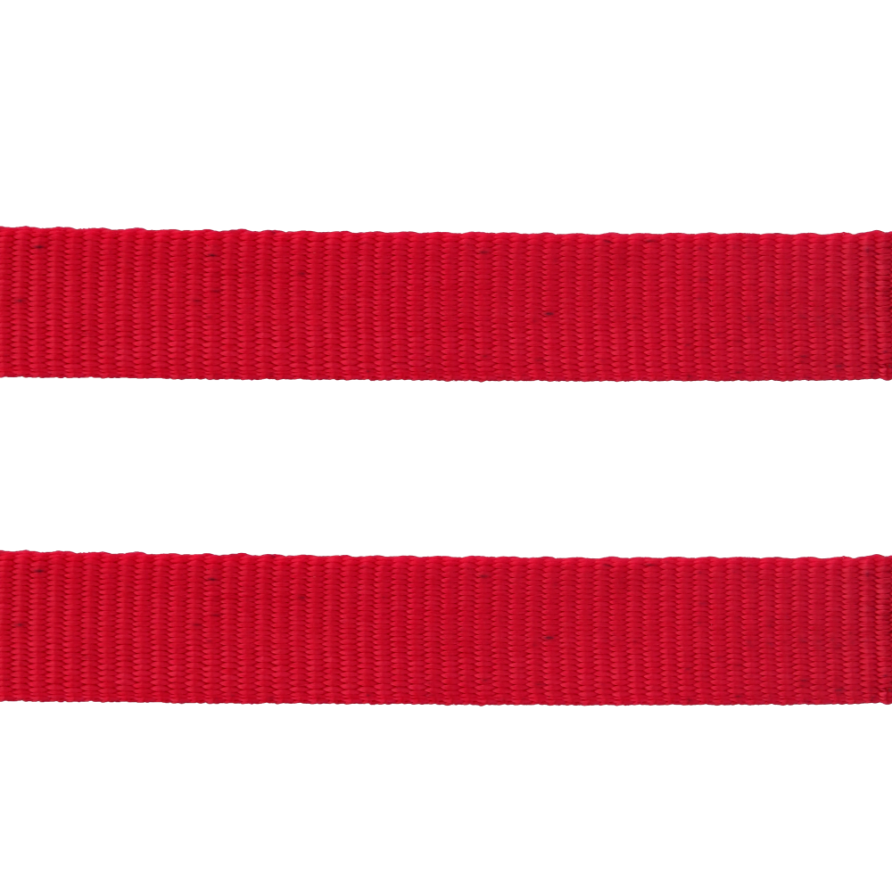 Trixie Classic Lead Leash for Dogs (Red)