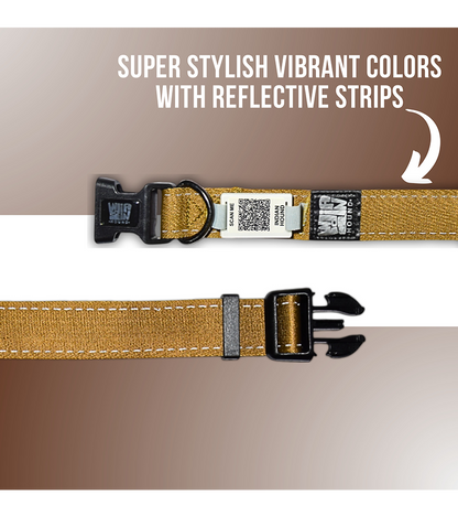 Indian Hound  Dog Collar with Personalized QR Tag