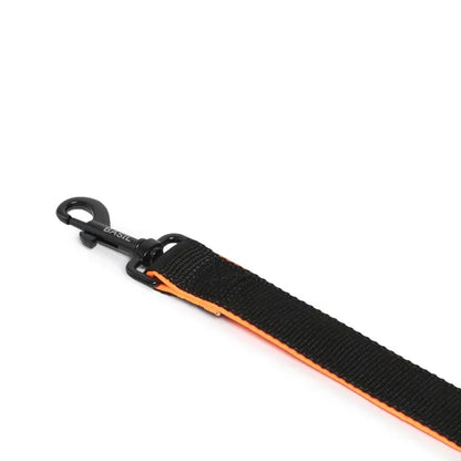 Basil Nylon Padded Leash for Dogs