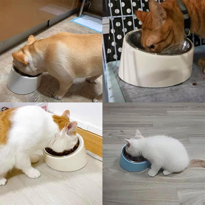Slanted Food Bowl For Dogs And Cats (Purple)