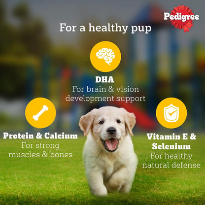 Pedigree Puppy Wet Dog Food, Chicken Chunks in Gravy 130gms