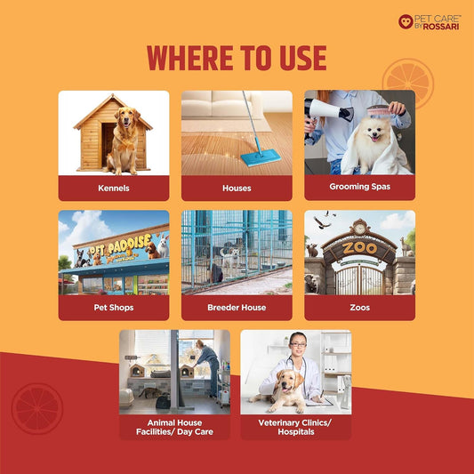 Lozalo Kennel Wash Lemon and Mint Flavor 500ml