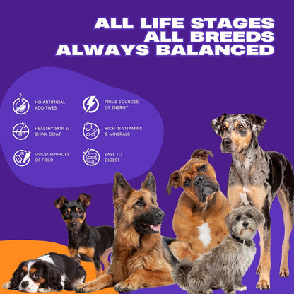 Hungertail Daily Munch Dry Dog Food,All Life Stages, Non-GMO, Zero Fillers, Zero Colors, Made in India