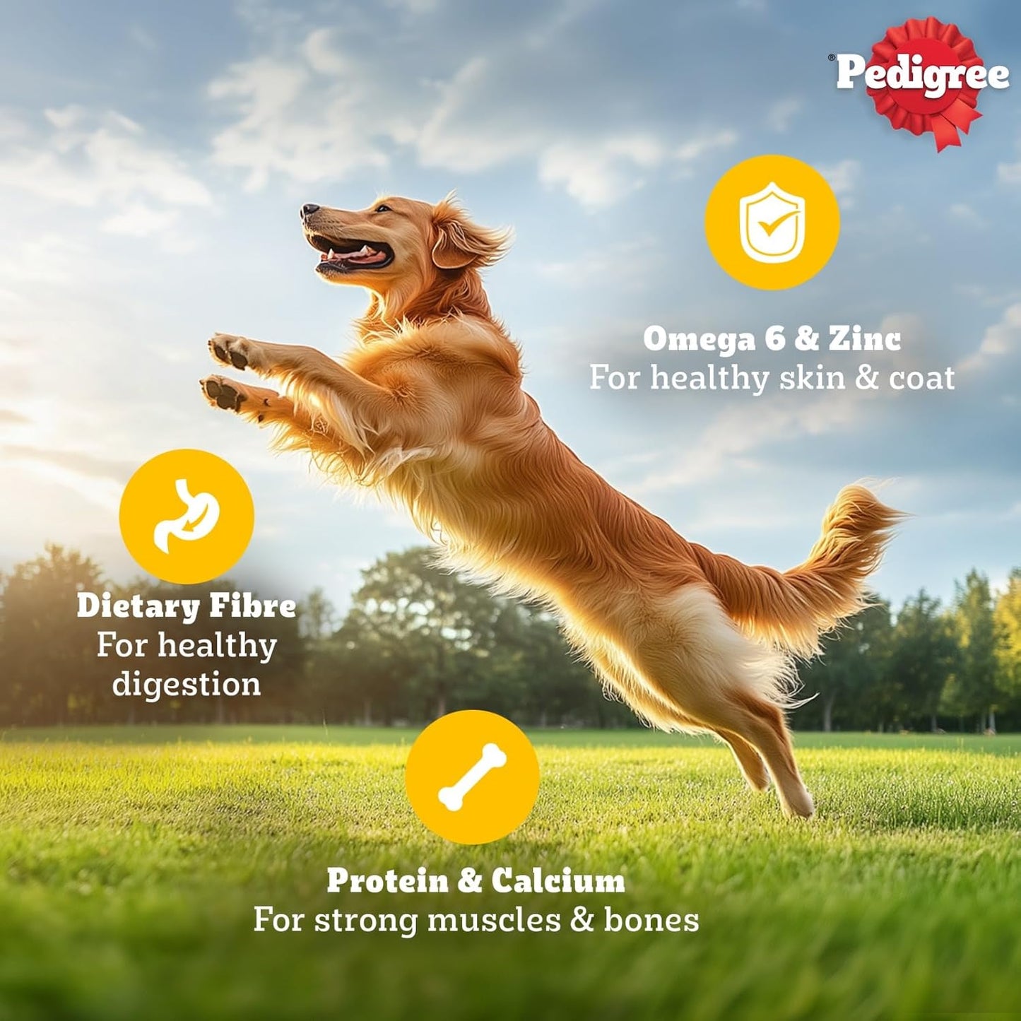 Pedigree Adult Wet Dog Food, Chicken & Liver Chunks in Gravy, 130 g