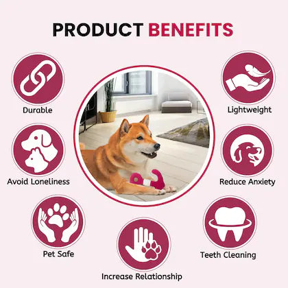 Petaholic Anchor Plush Toy For Dogs