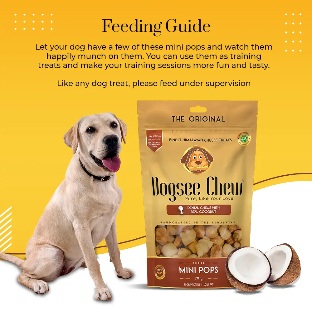 Dogsee Chew Coconut Mini Pops Dog Treats