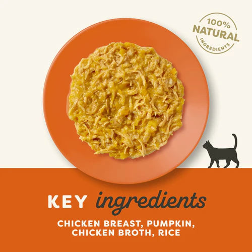 Applaws Chicken Breast with Pumpkin in Broth Cat Wet Food