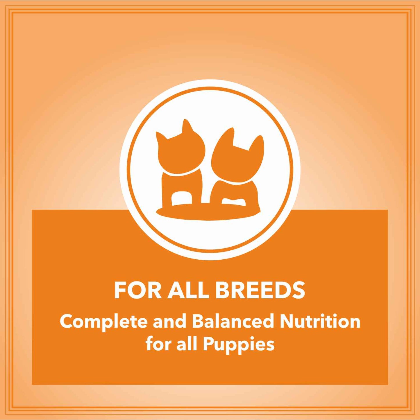 Let's Bite Active Puppy Chicken Dog Dry Food