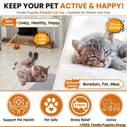 Cat Teaser Wooden Stick Halloween Plush Toy for Cats and Kittens