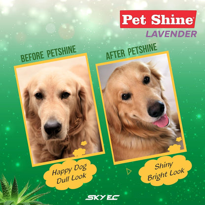 Pet Shine Aloe Vera Dog Shampoo Balanced with Coconut Oil Conditioner for Dogs 200ml Lavender