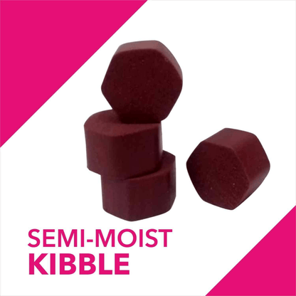 Drools Absolute Skin & Coat and Absolute Vitamin Supplement Tablets for Dogs Combo