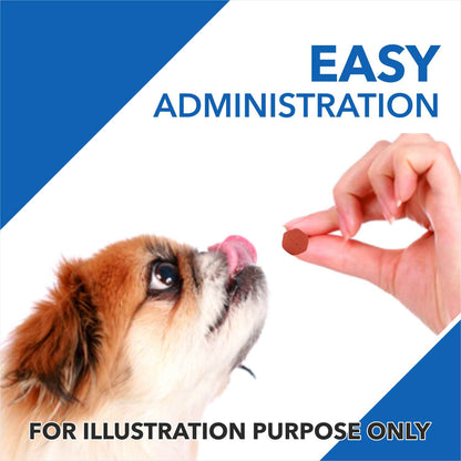 Drools Absolute Vitamin and Absolute Calcium Dog Supplement Tablets Combo