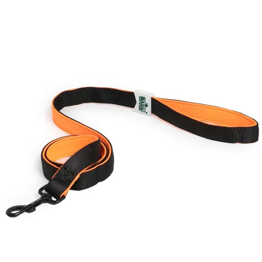 Basil Nylon Padded Leash for Dogs