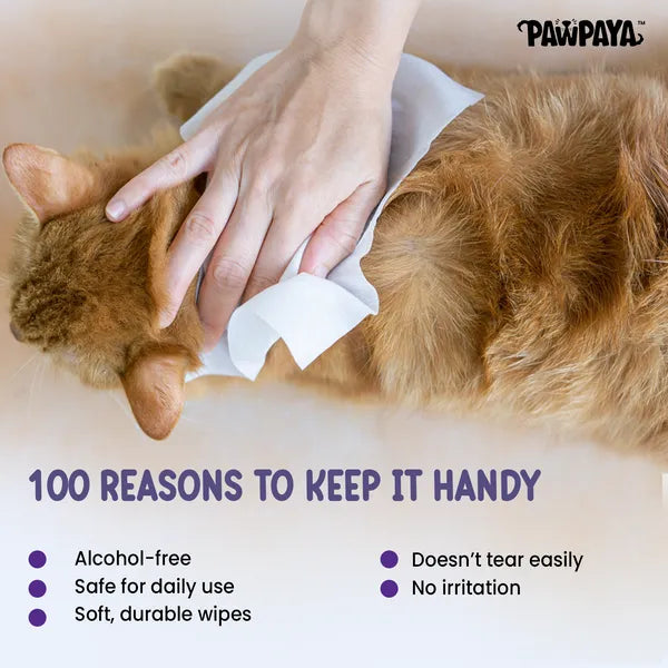 Pawpaya Pet Wipes Made for All Cats and Dogs (Pack Of 40)