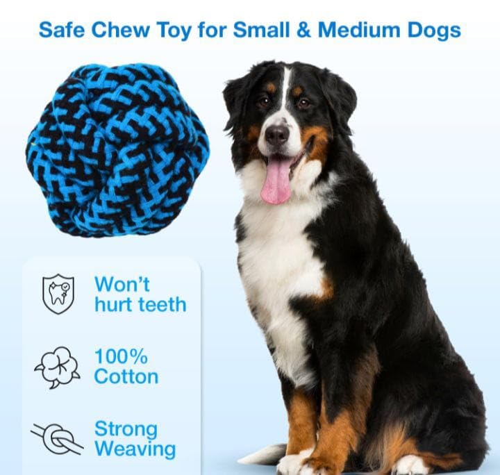 Multicolored Braided Cotton Rope Chew Ball Dog Toy