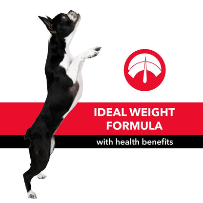 Purepet Adult Dry Dog Food 10kg | Meat & Rice Flavour