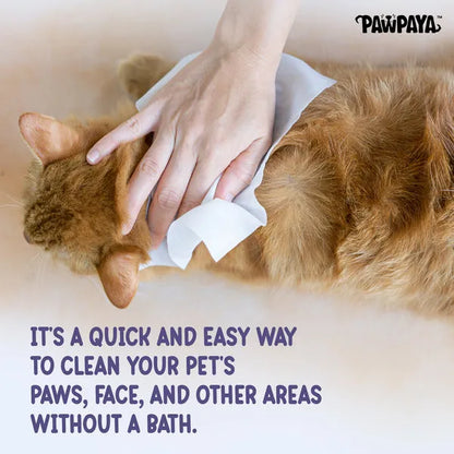 Pawpaya Oatmeal Wipes for Pets (Pack Of 100)