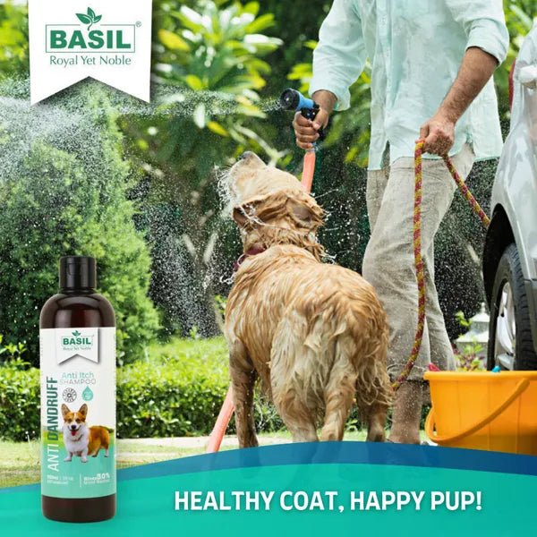 Basil Anti Dandruff & Anti Itch Shampoo for Dogs and Cats