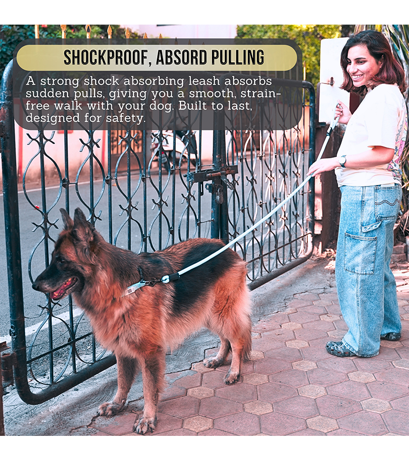 Indian Hound Nylon Rope Leash For Dogs