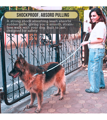 Indian Hound Nylon Rope Leash For Dogs