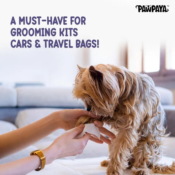 Pawpaya Pet Wipes Made for All Cats and Dogs (Pack Of 40)