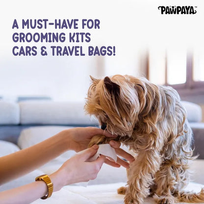 Pawpaya Pet Wipes Made for All Cats and Dogs (Pack Of 40)