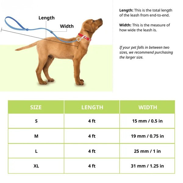 Basil Nylon Padded Leash for Dogs