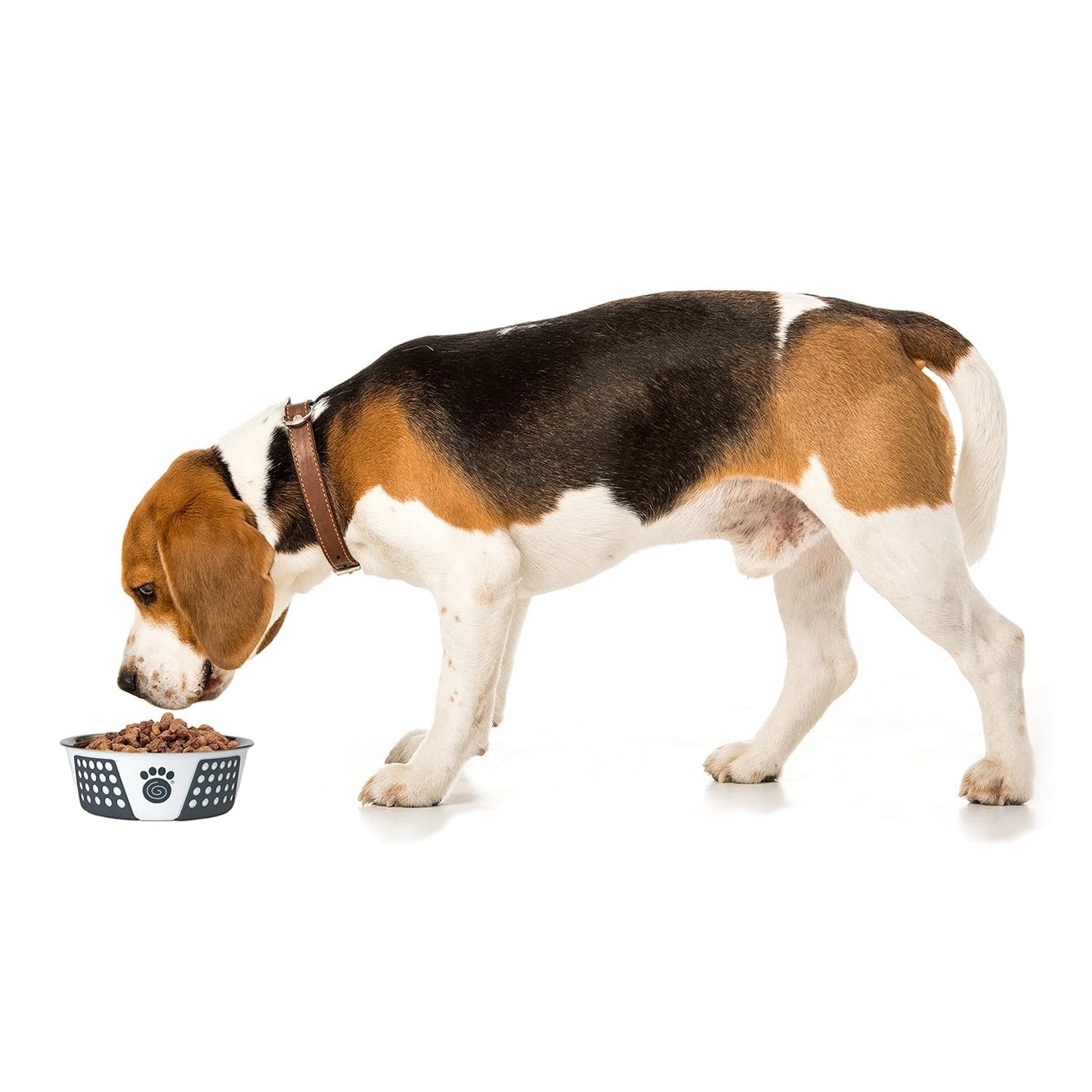 Holy Paws Hermosa Bowl Stainless Steel Paw Print Bowl For Dogs And Cats  (Color May Vary)