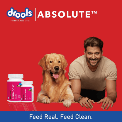 Drools Absolute Skin & Coat and Absolute Vitamin Supplement Tablets for Dogs Combo