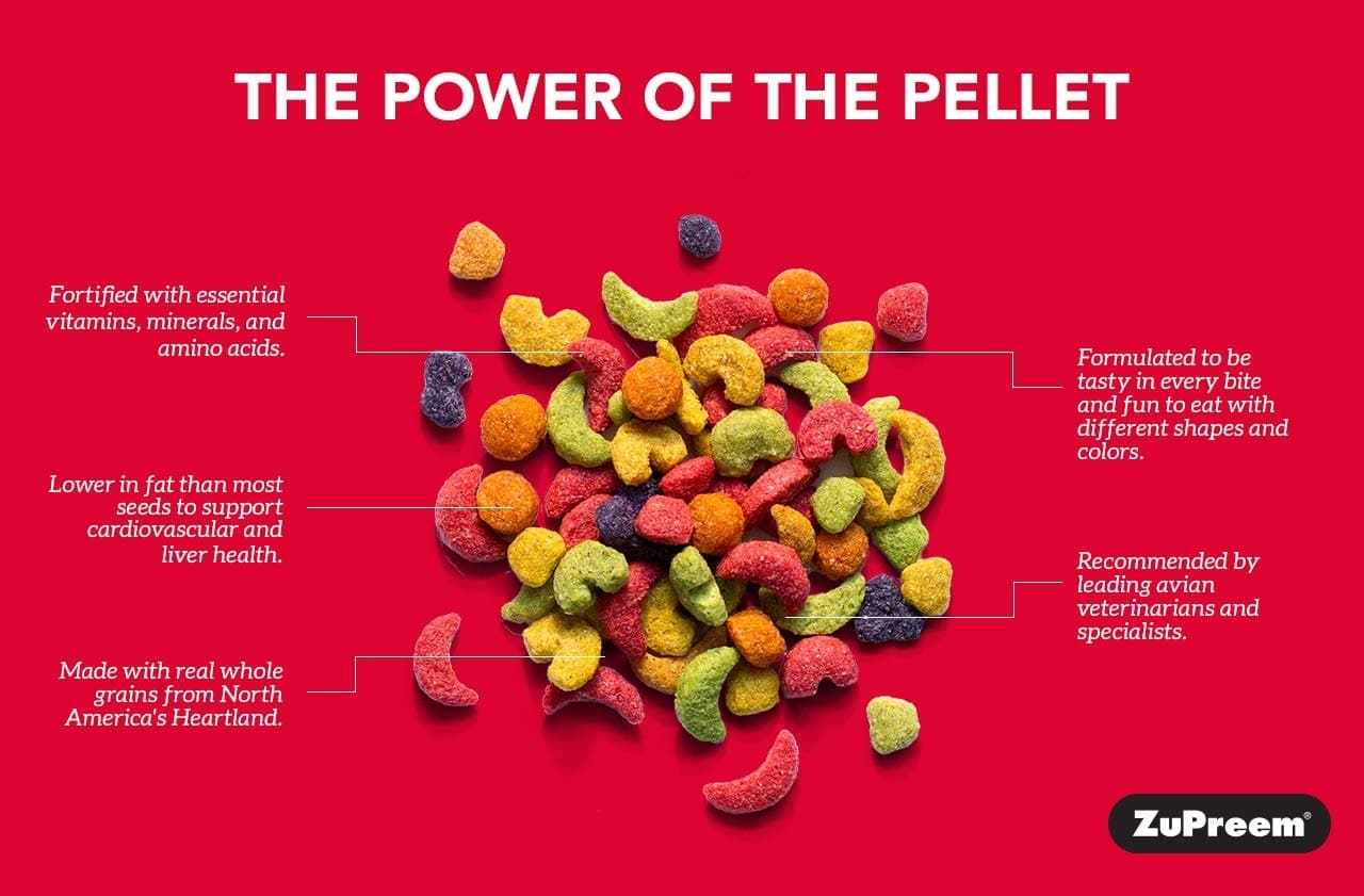 ZuPreem Fruit Blend Bird Food for Parrots and Conures