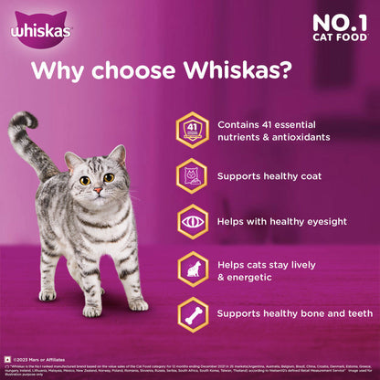 Whiskas Chicken Flavour Cat (Adult 1+) Dry Food