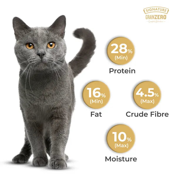 Signature Grain Zero Ocean Fish, Sardine and Mackerel Adult Cat Dry Food