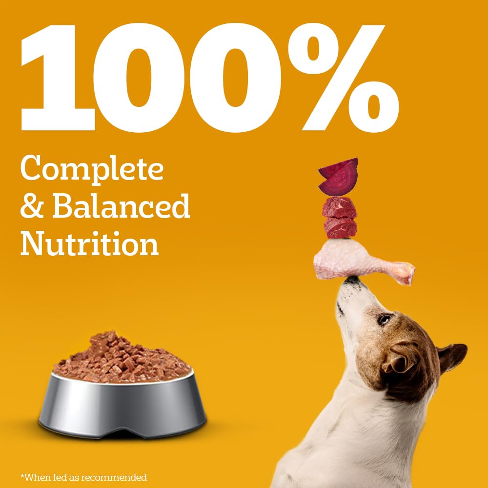 Pedigree Adult Wet Dog Food, Chicken & Liver Chunks in Gravy, 130 g