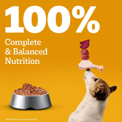 Pedigree Adult Wet Dog Food, Chicken & Liver Chunks in Gravy, 130 g