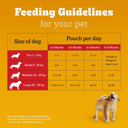 Pedigree Puppy Wet Dog Food, Chicken Chunks in Gravy 130gms