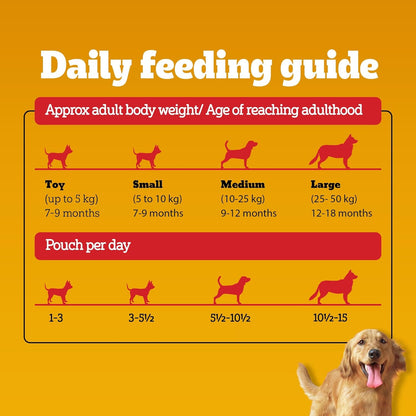 Pedigree Adult Wet Dog Food, Chicken & Liver Chunks in Gravy, 130 g