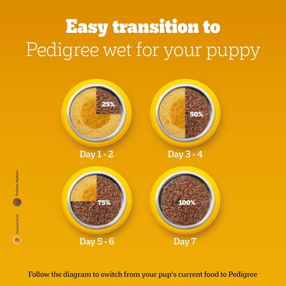 Pedigree Puppy Wet Dog Food, Chicken Chunks in Gravy 130gms