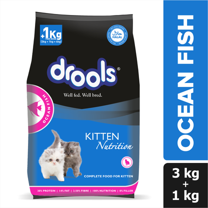Drools Ocean Fish Kitten Cat Dry Food 3 KG + 1 KG