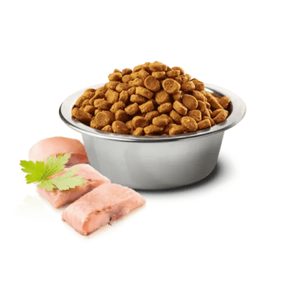 Farmina N&D Ocean Herring & Orange Grain Free Adult Cat Dry Food