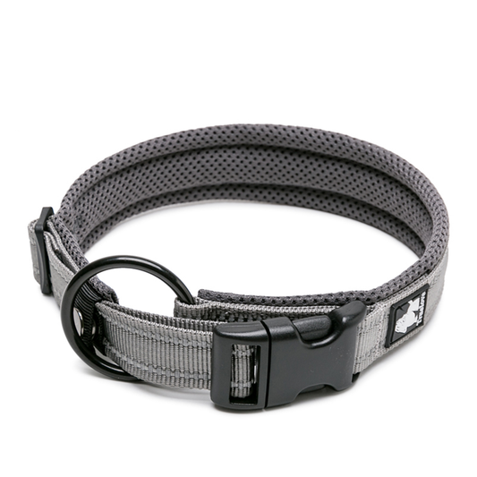 Truelove Classic Collar for Dogs (Gray)