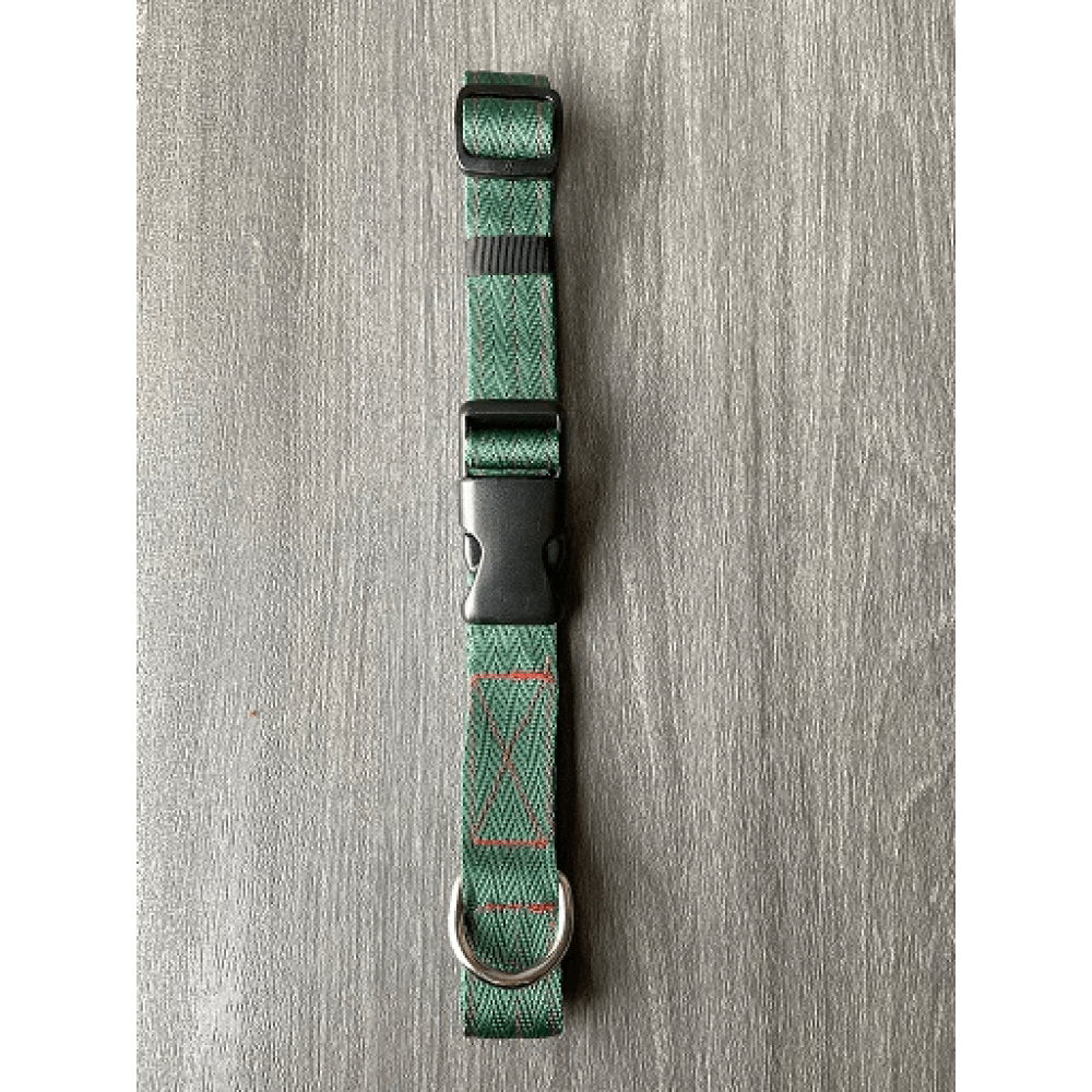 FurBuddies Myrtle Nylon Collar for Dogs (Green)