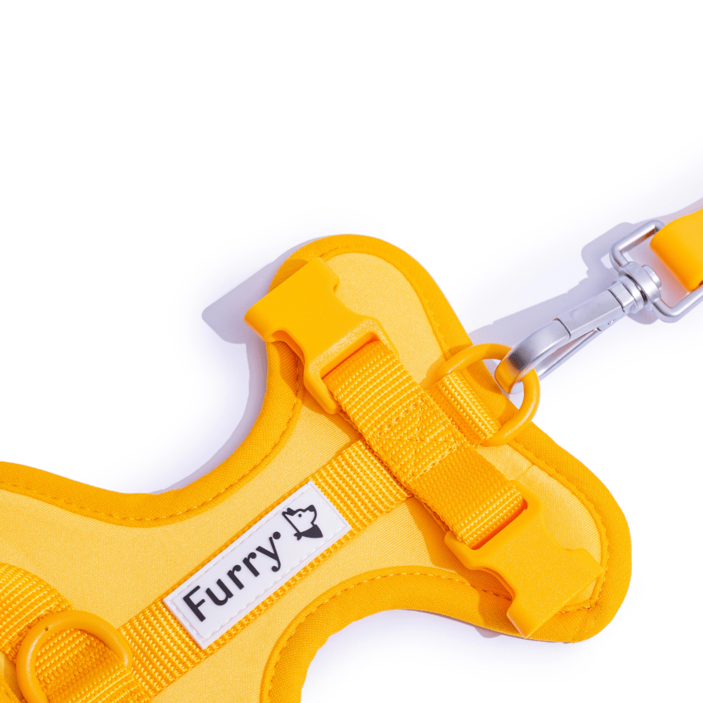 Furry & Co Bold Harness for Dogs (Mango)