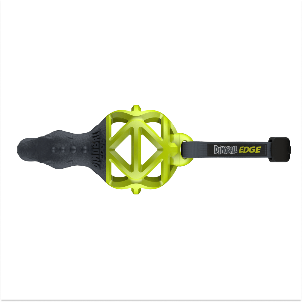 Gigwi Dinoball Edge with Strap Chew Toy for Dogs (Green)
