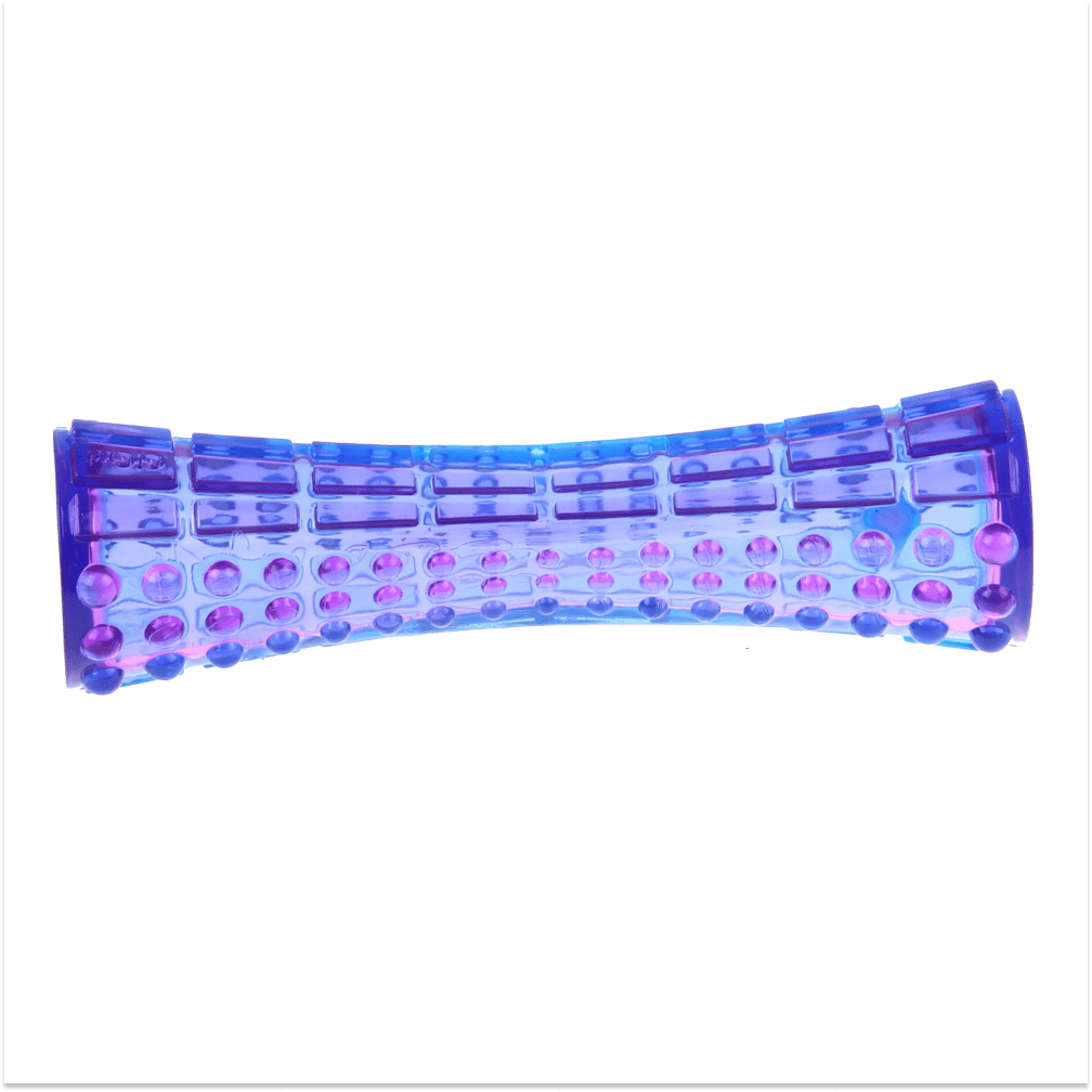 GiGwi Johnny Stick with Squeak for Dogs (Purple/Blue)