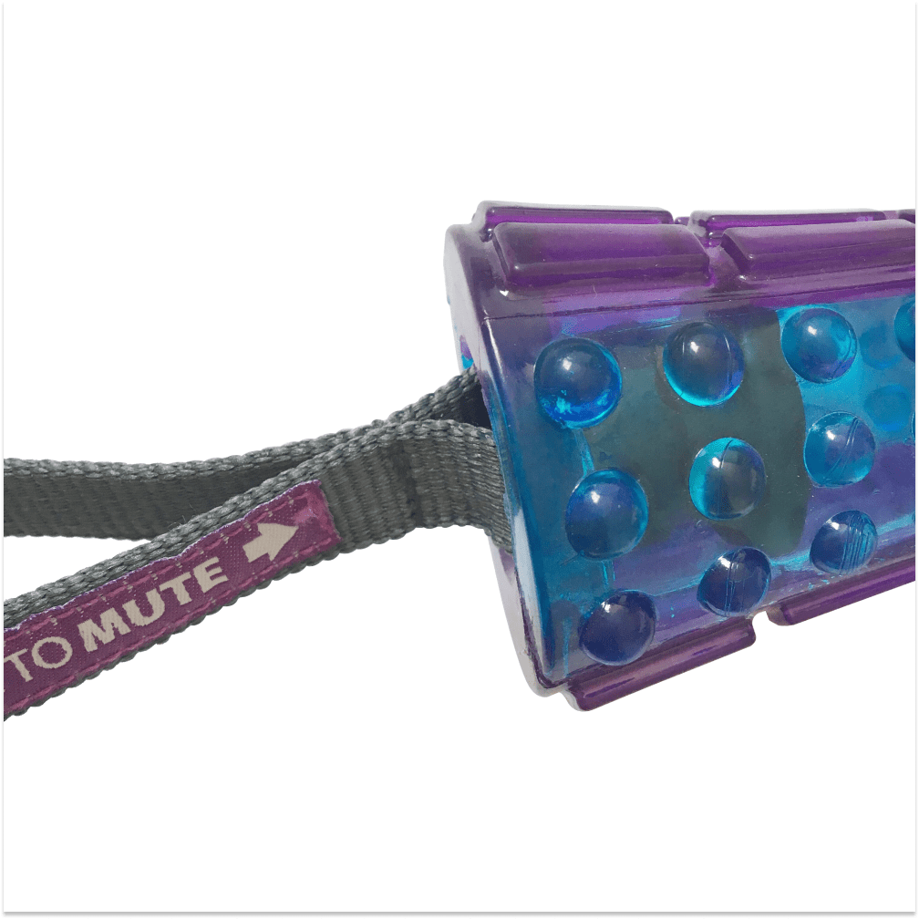 GiGwi Push To Mute Johnny Stick for Dogs (Purple/Blue)